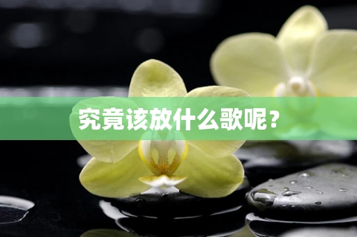 究竟该放什么歌呢？