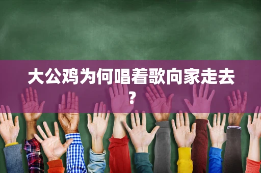 大公鸡为何唱着歌向家走去？