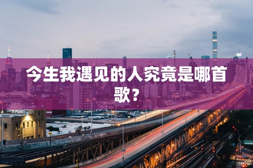 今生我遇见的人究竟是哪首歌？