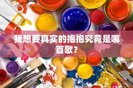 我想要真实的抱抱究竟是哪首歌？