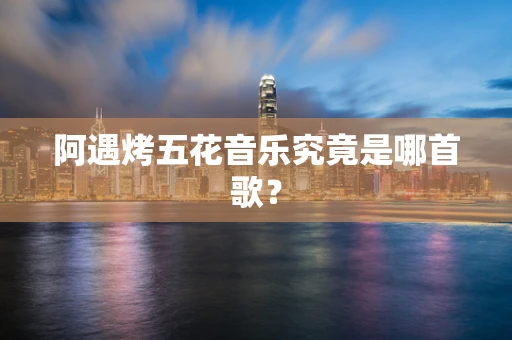 阿遇烤五花音乐究竟是哪首歌？