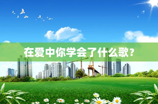 在爱中你学会了什么歌？
