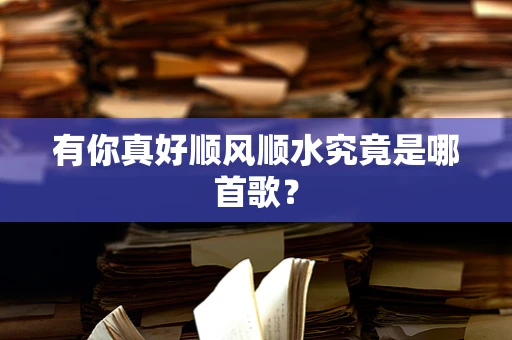 有你真好顺风顺水究竟是哪首歌？