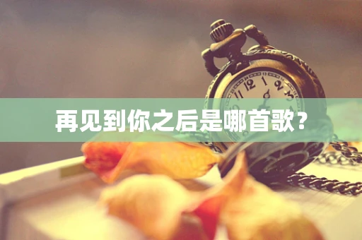 再见到你之后是哪首歌？