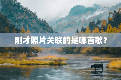 刚才照片关联的是哪首歌？
