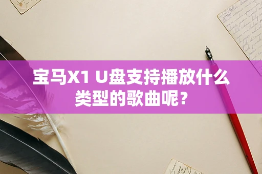 宝马X1 U盘支持播放什么类型的歌曲呢？