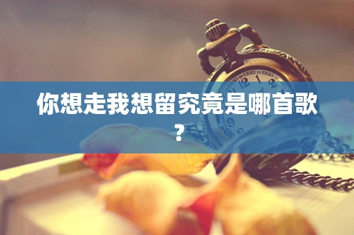 你想走我想留究竟是哪首歌？