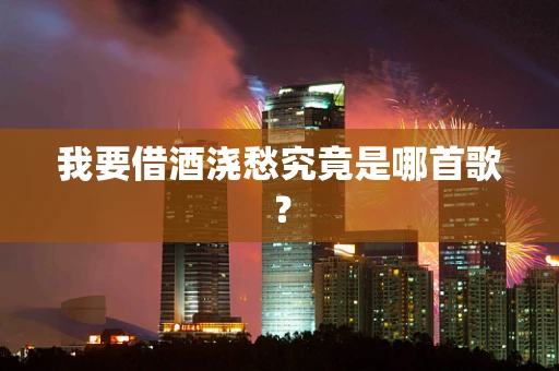 我要借酒浇愁究竟是哪首歌？