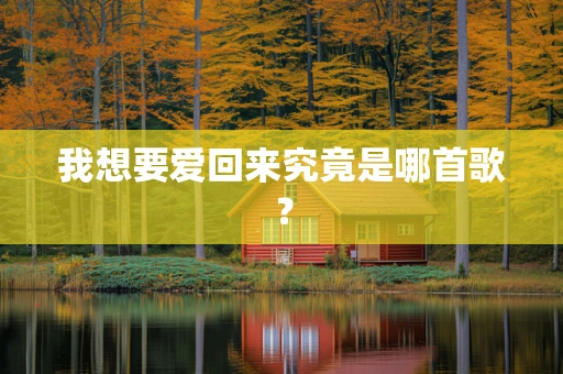 我想要爱回来究竟是哪首歌？