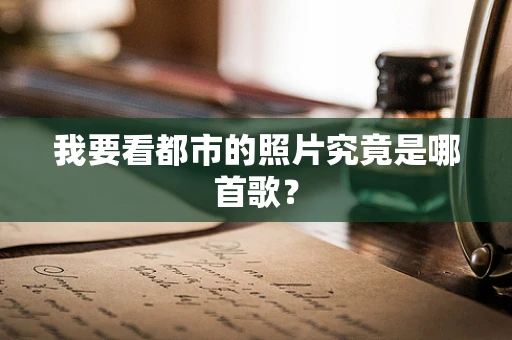 我要看都市的照片究竟是哪首歌？