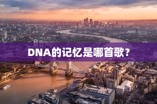 DNA的记忆是哪首歌？