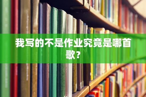 我写的不是作业究竟是哪首歌？