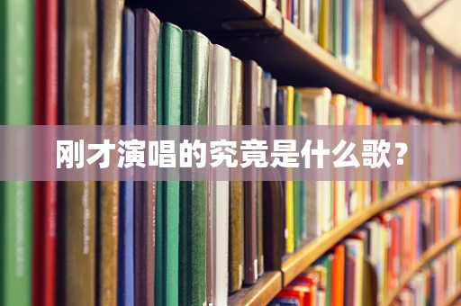 刚才演唱的究竟是什么歌？