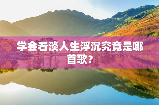 学会看淡人生浮沉究竟是哪首歌？