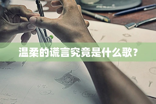 温柔的谎言究竟是什么歌？