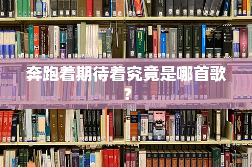 奔跑着期待着究竟是哪首歌？