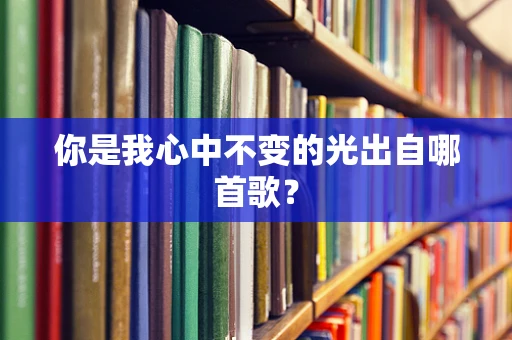 你是我心中不变的光出自哪首歌？