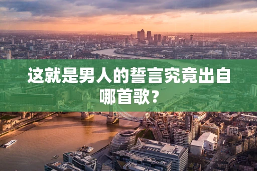 这就是男人的誓言究竟出自哪首歌？
