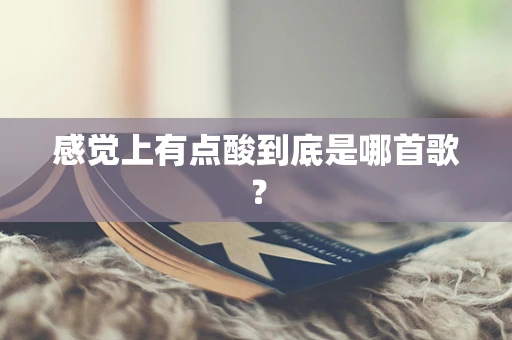感觉上有点酸到底是哪首歌？