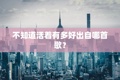 不知道活着有多好出自哪首歌？