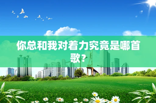 你总和我对着力究竟是哪首歌？