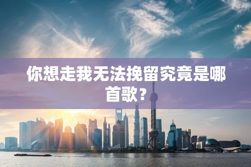你想走我无法挽留究竟是哪首歌？