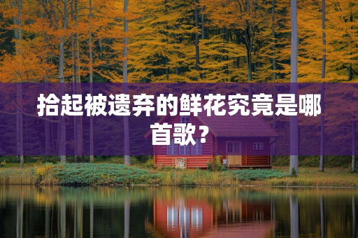 拾起被遗弃的鲜花究竟是哪首歌？