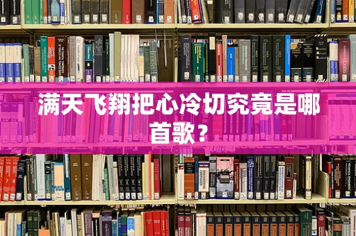 满天飞翔把心冷切究竟是哪首歌？