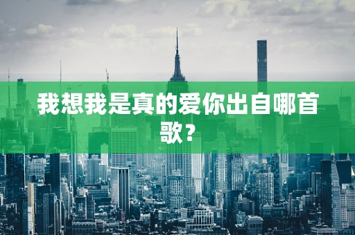 我想我是真的爱你出自哪首歌？