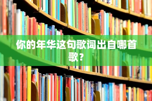 你的年华这句歌词出自哪首歌？