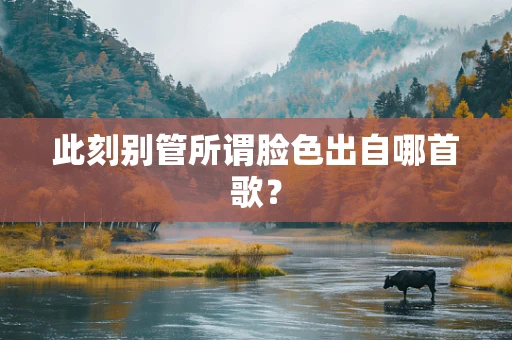 此刻别管所谓脸色出自哪首歌？