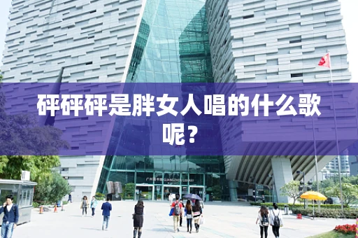 砰砰砰是胖女人唱的什么歌呢？