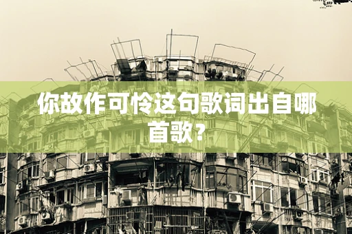 你故作可怜这句歌词出自哪首歌？