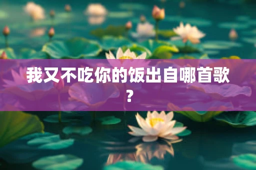我又不吃你的饭出自哪首歌？