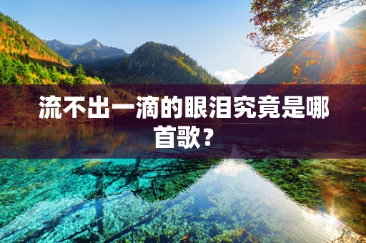 流不出一滴的眼泪究竟是哪首歌？