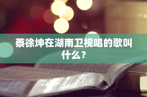 蔡徐坤在湖南卫视唱的歌叫什么？