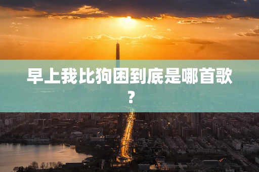 早上我比狗困到底是哪首歌？