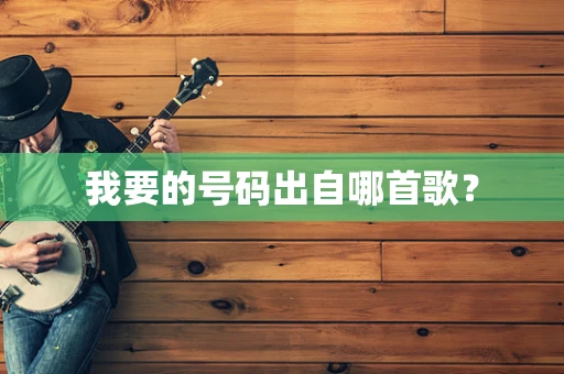 我要的号码出自哪首歌？