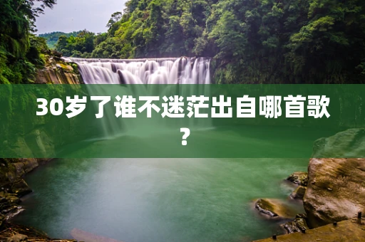 30岁了谁不迷茫出自哪首歌？