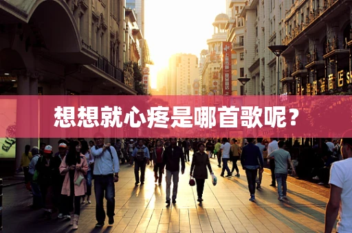 想想就心疼是哪首歌呢？