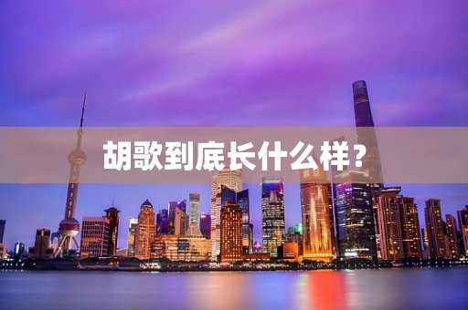 胡歌到底长什么样？