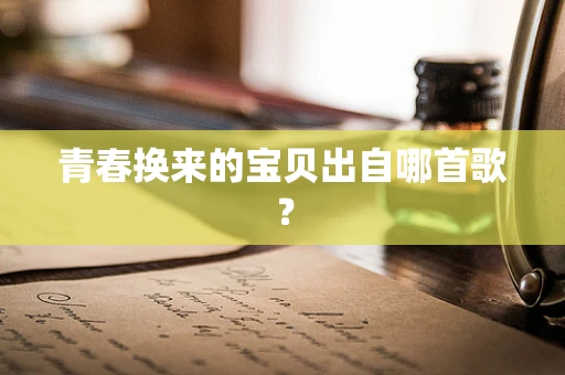 青春换来的宝贝出自哪首歌？