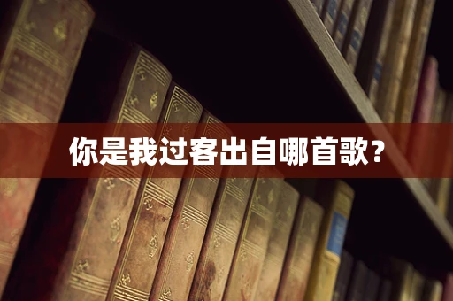 你是我过客出自哪首歌？