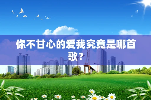 你不甘心的爱我究竟是哪首歌？