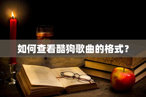 如何查看酷狗歌曲的格式？