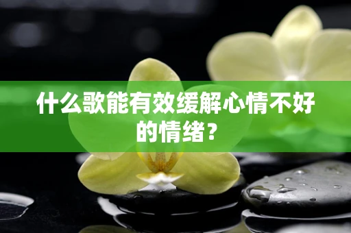什么歌能有效缓解心情不好的情绪？