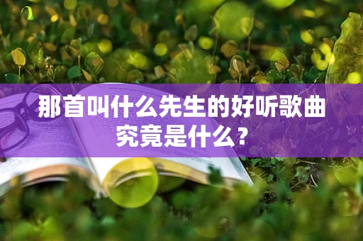 那首叫什么先生的好听歌曲究竟是什么？