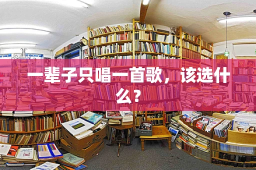 一辈子只唱一首歌，该选什么？
