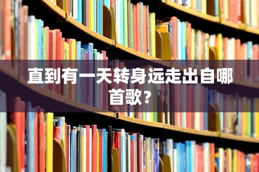 直到有一天转身远走出自哪首歌？
