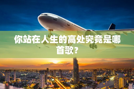 你站在人生的高处究竟是哪首歌？